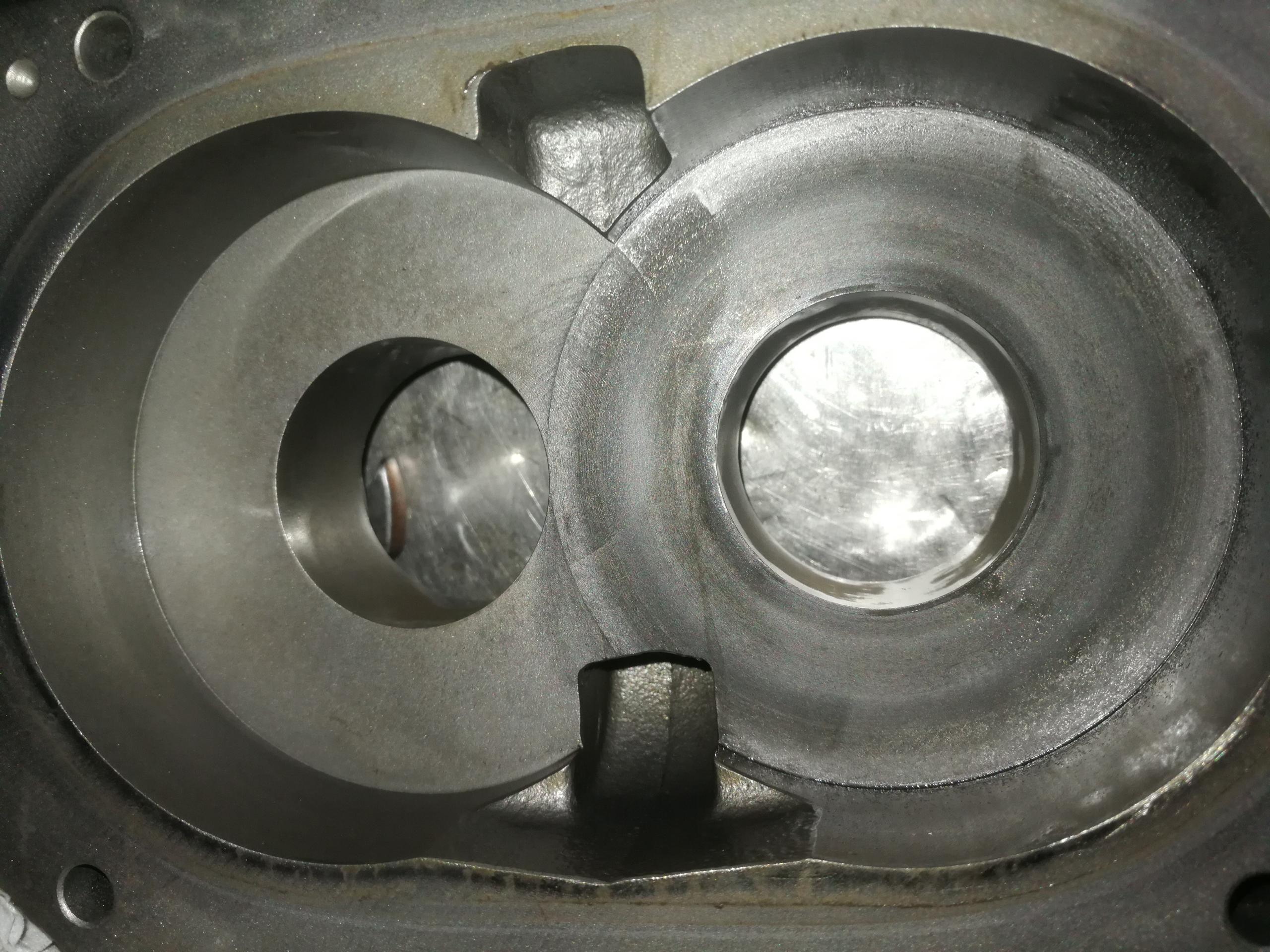 IMG_20231227_165509(1)