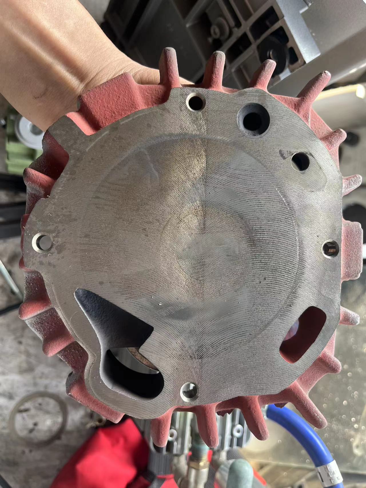 213d391d-1e6c-4082-8951-9f31e61896f6