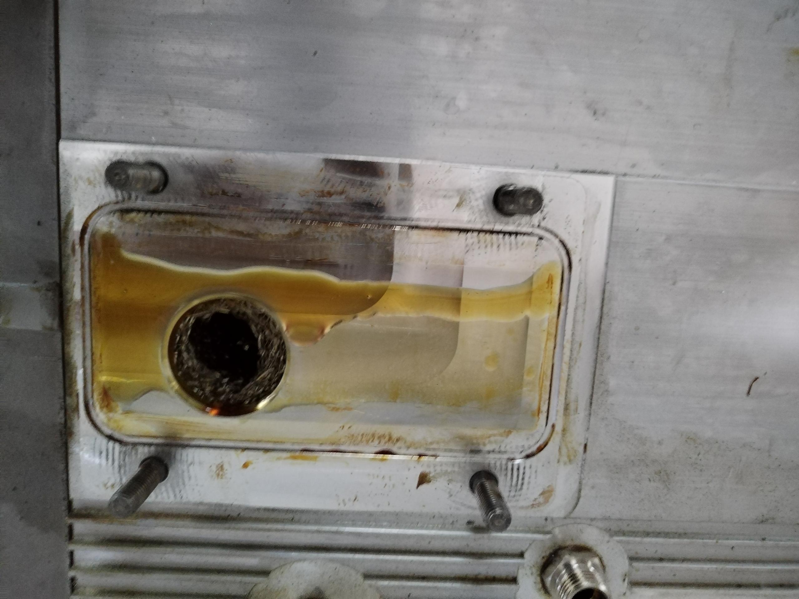 IMG_20230809_165636(1)