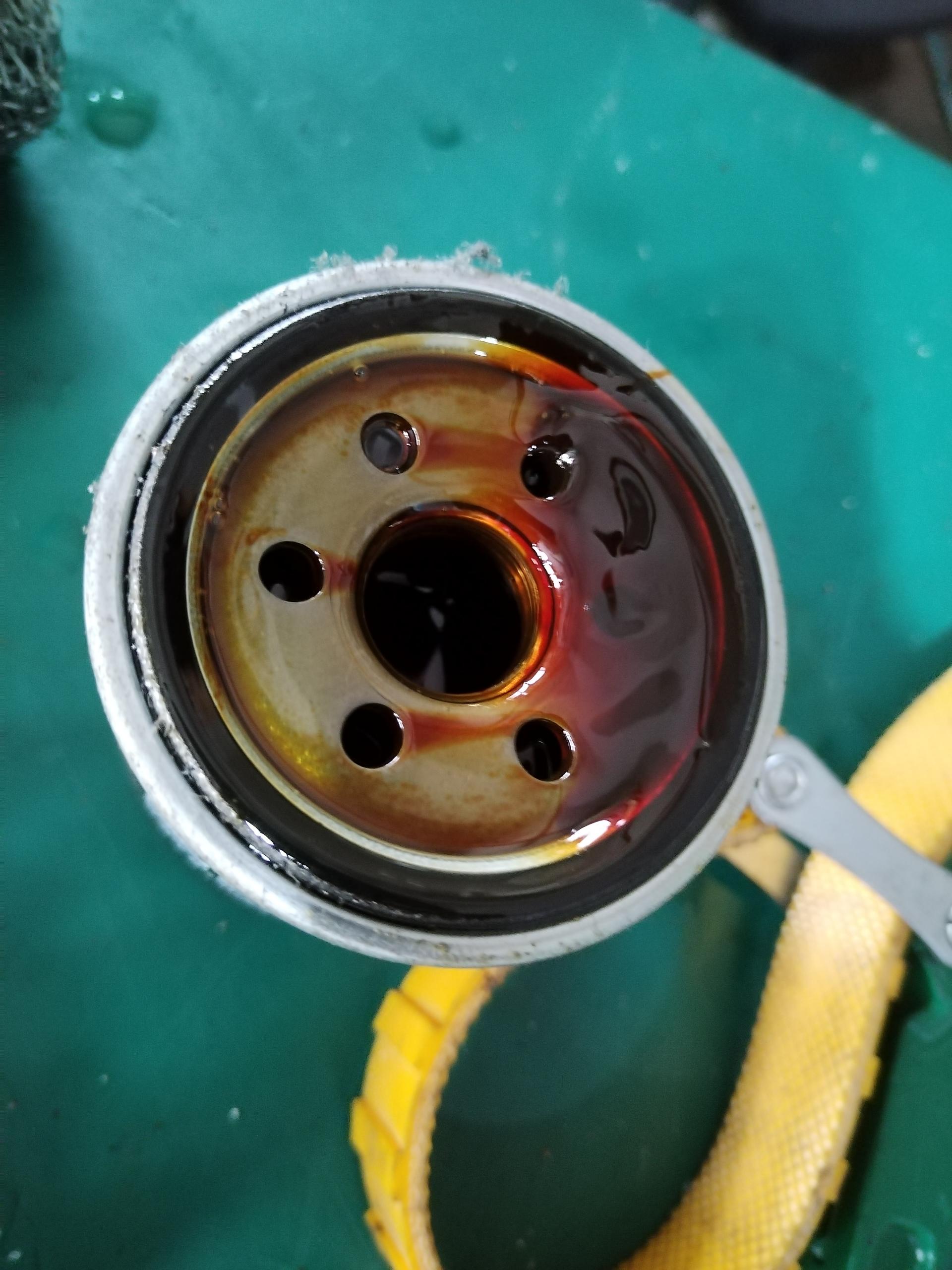 IMG_20230809_171256(1)