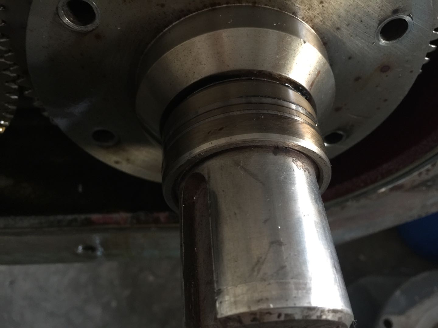 492d1e213568ff0988ee1de9c4dde74