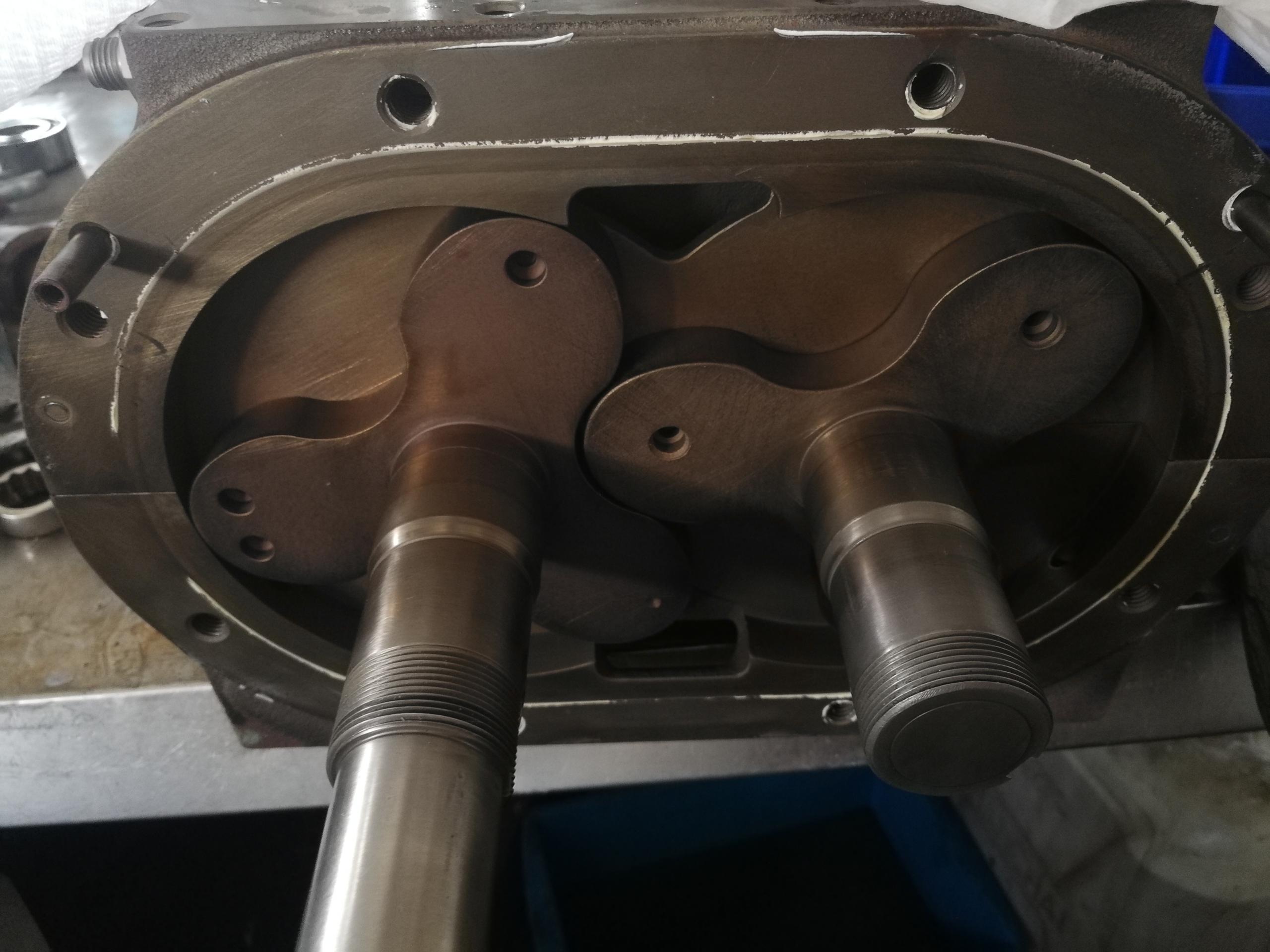 IMG_20230725_083952(1)