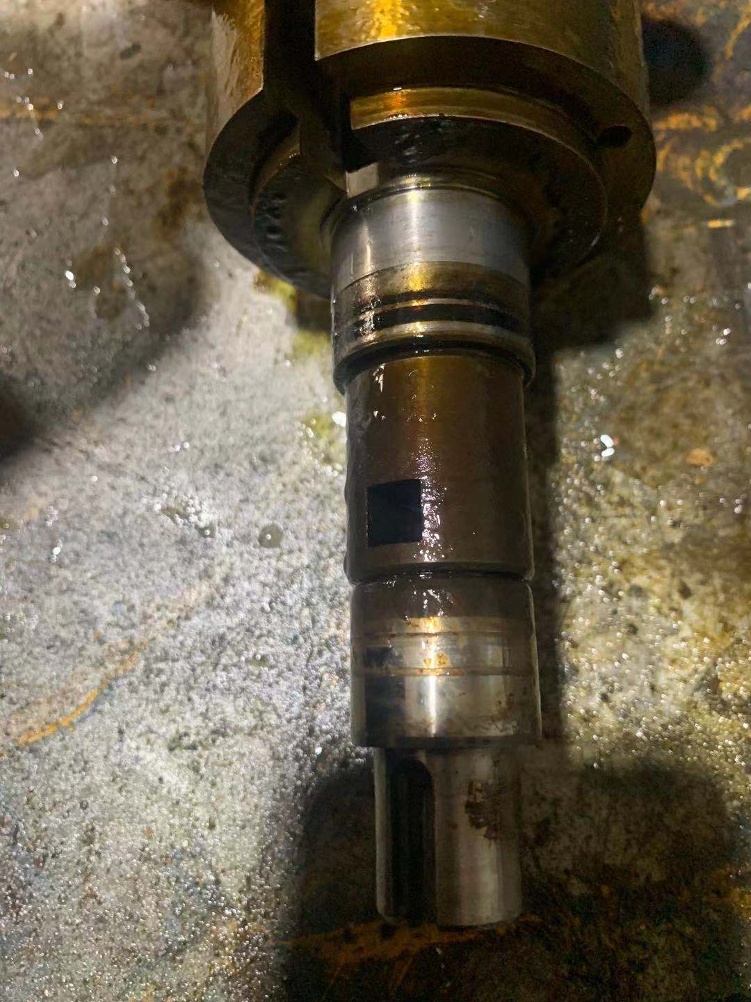 d6dc02d292d0db3d7be264d38385091