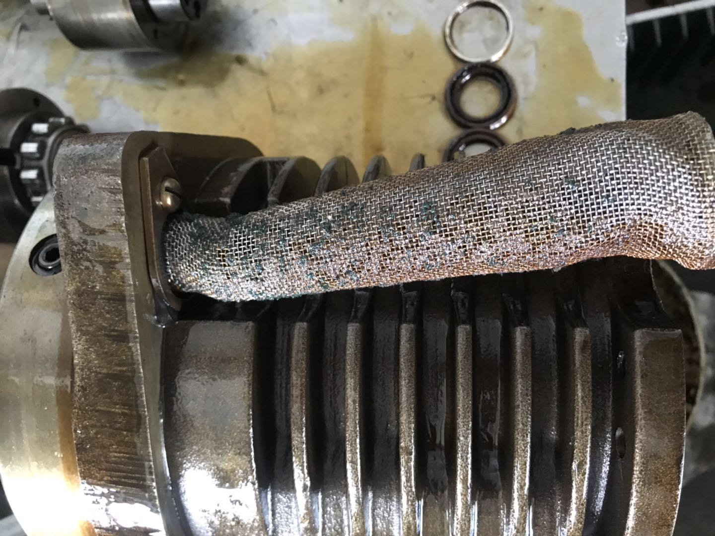 微信图片_20200402155155