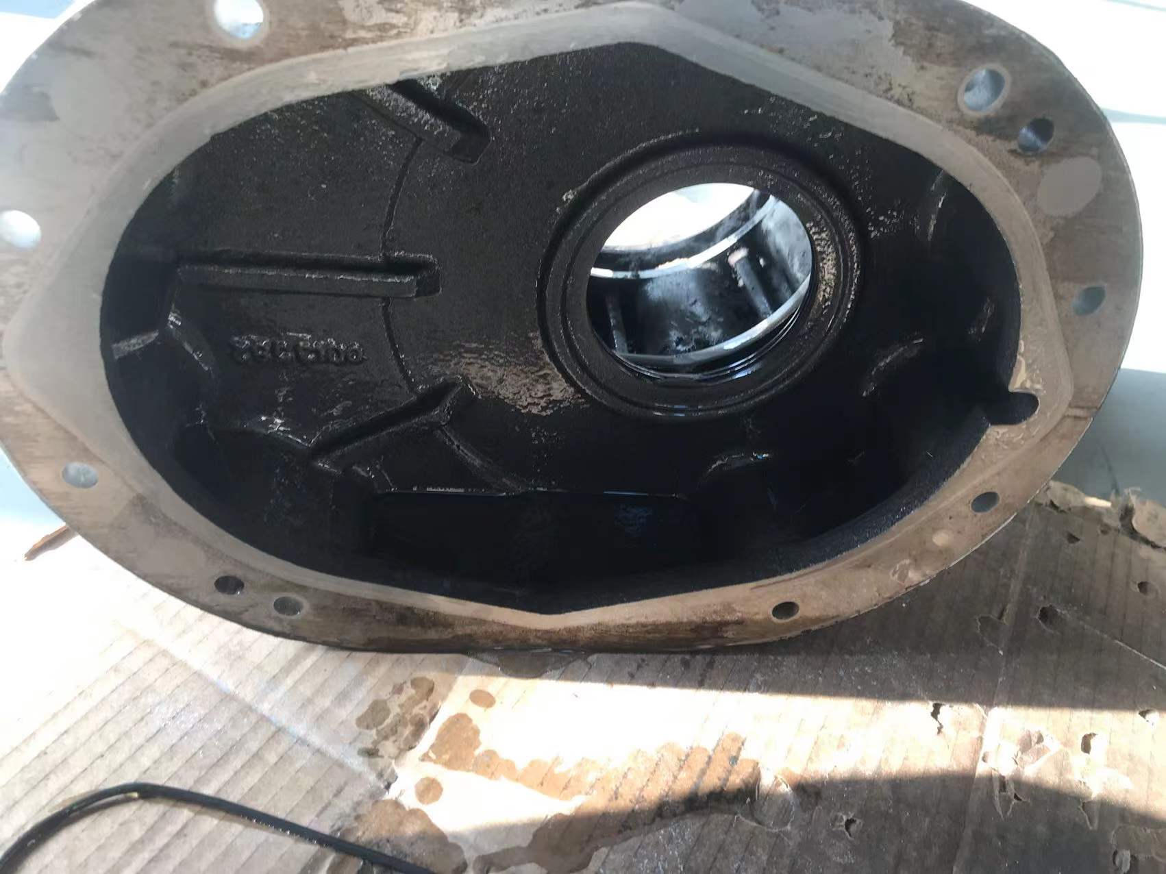 1f331dd5ec00123dcc1f24039940983