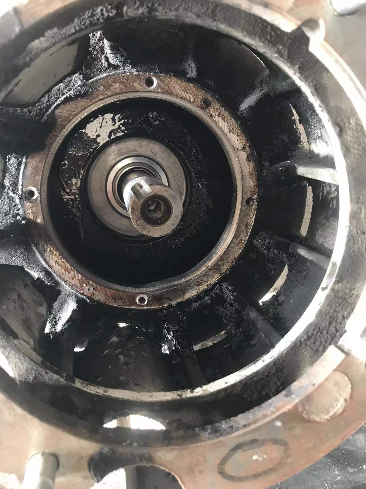 99b82348c1c38b835d864a78c0c5a14(1)