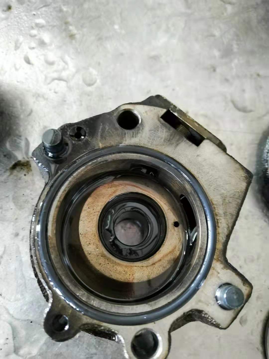 efd81e2c8b570fcc56c253b3c9ceecc