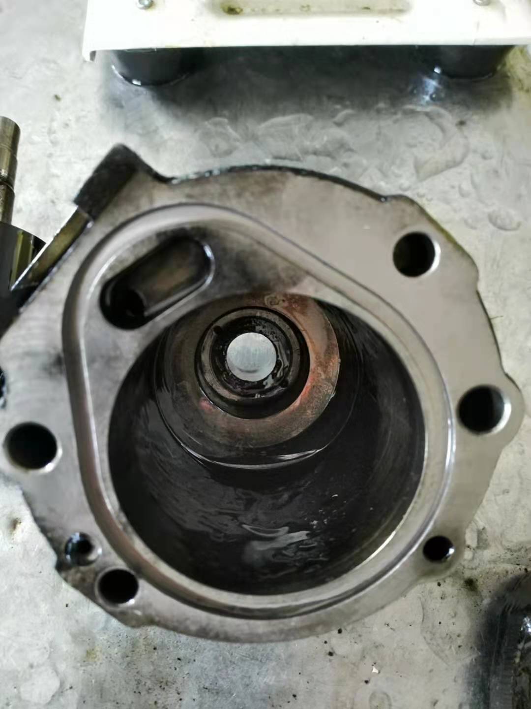 f3c25084ced90c68043eae337dcb532