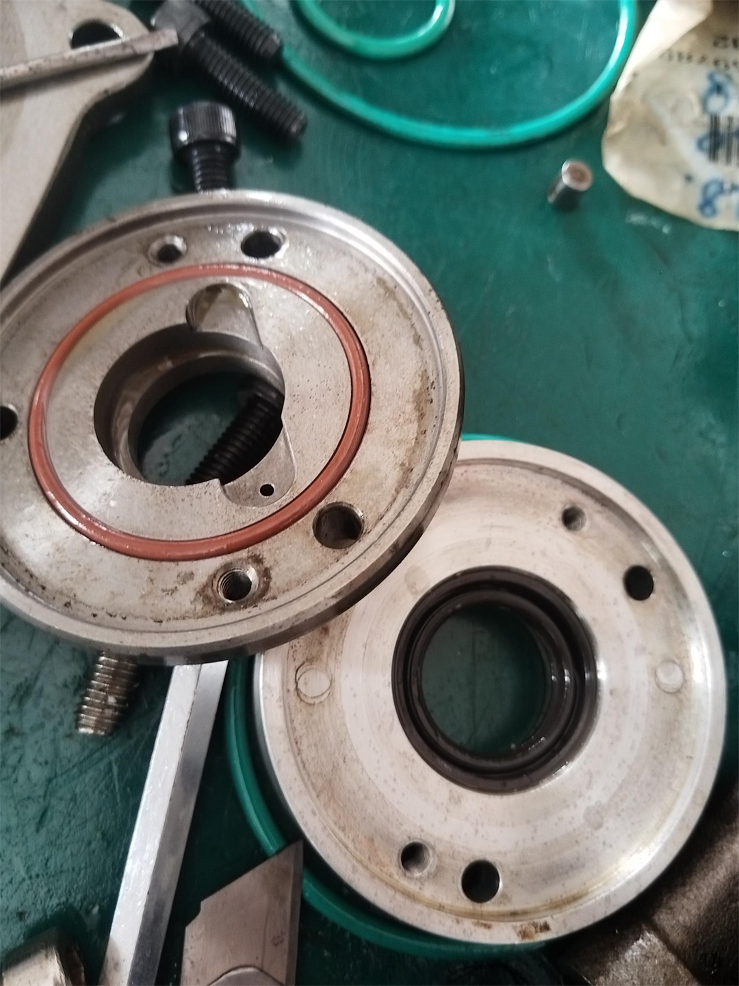 175db5a7f321397cacc81cf3ef9373ff