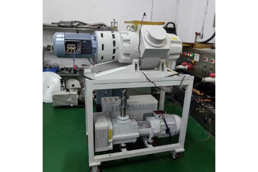 莱宝SV300B+WAU1001组合泵